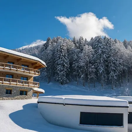 Mont-blanc Balcony & Walking Center *