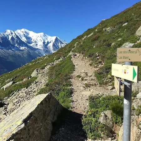 Balcony Overlooking The Mont-blanc Chainparking
