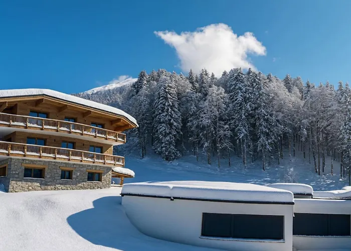 Mont-blanc Balcony & Walking Center *